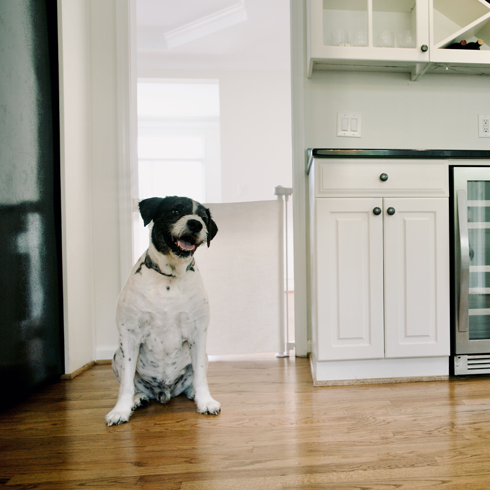 Crypton® Fabric Baby & Pet Safety Gate